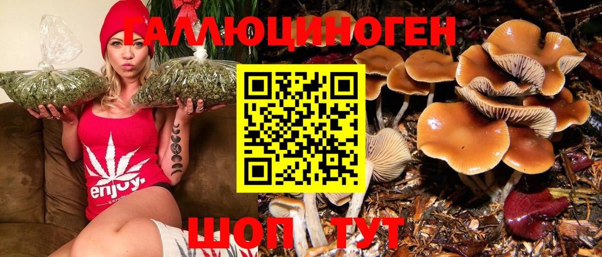 Галлюциногенные грибы Cubensis Архангельск